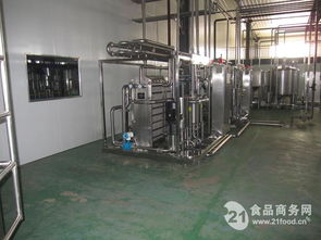 高效与品质并行 解析菠萝汁饮料生产线设备与生产工艺